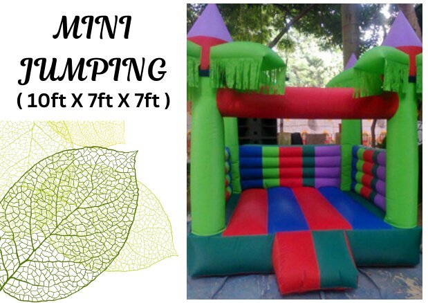 Mini Jumping bouncy amusement