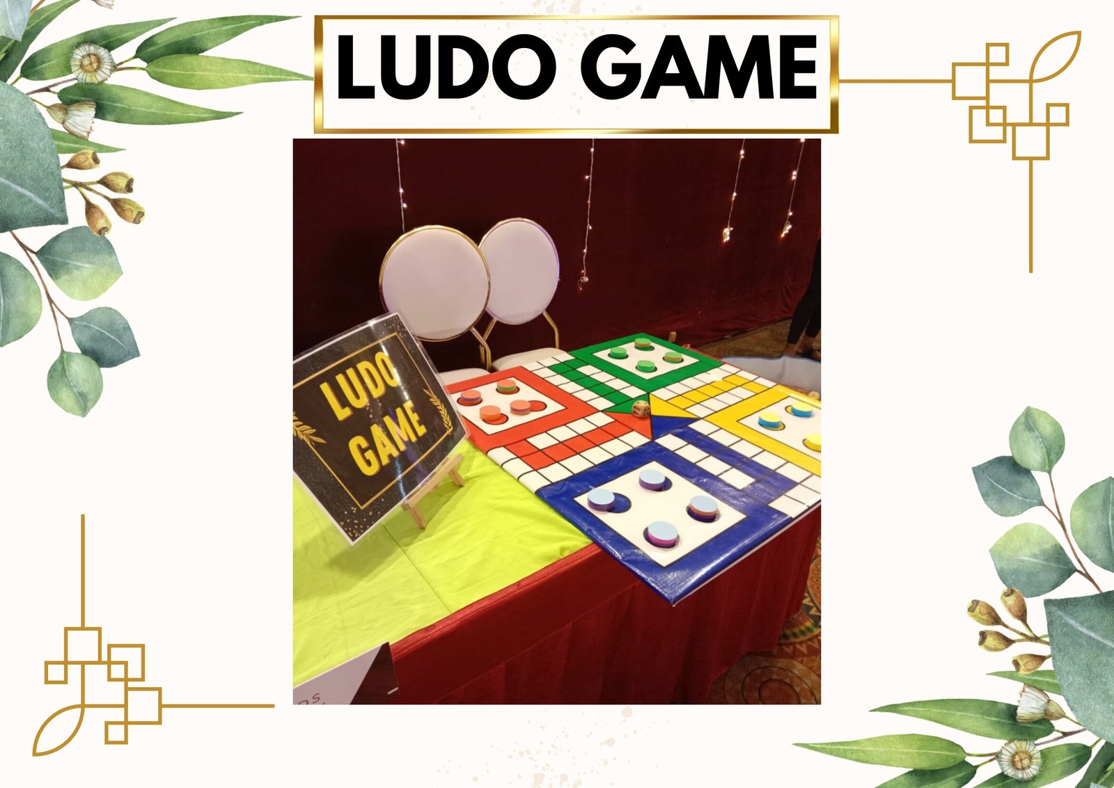Ludo Game kids game